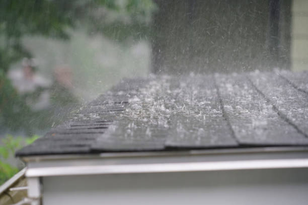 Best Roof Moss and Algae Removal  in Clayton, OH